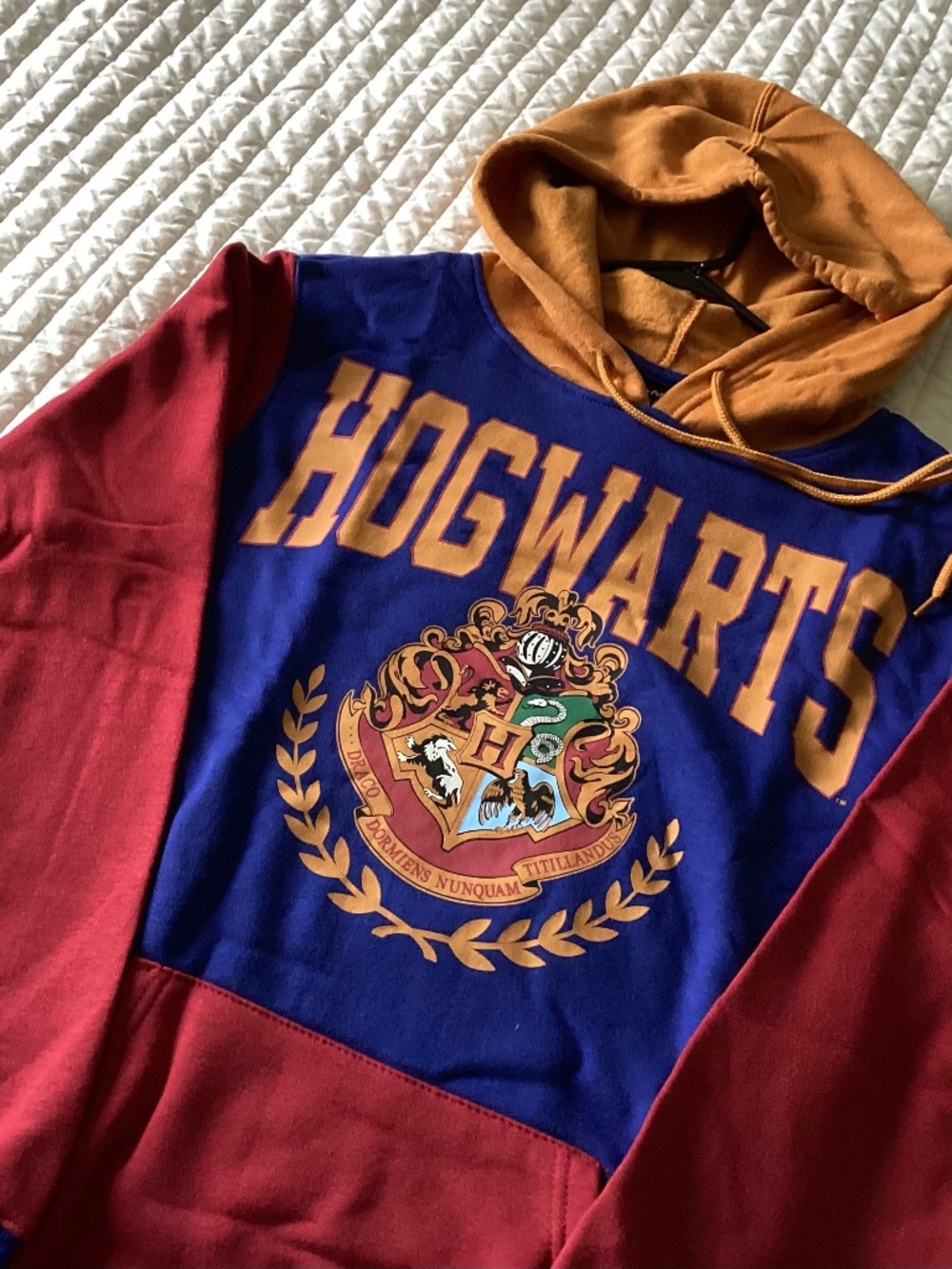 Harry Potter Hogwarts Hooded adult sweatshirt